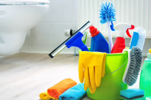 Messie Reinigung Erftstadt